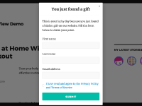 Data collection form and popup visible after gift found